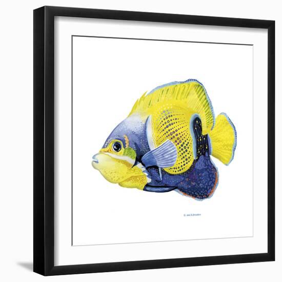 Fish 3 Blue-Yellow-Olga And Alexey Drozdov-Framed Premium Giclee Print