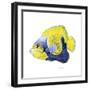 Fish 3 Blue-Yellow-Olga And Alexey Drozdov-Framed Premium Giclee Print