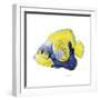 Fish 3 Blue-Yellow-Olga And Alexey Drozdov-Framed Premium Giclee Print