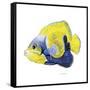 Fish 3 Blue-Yellow-Olga And Alexey Drozdov-Framed Stretched Canvas