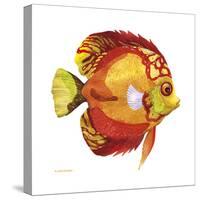 Fish 3 Red-Yellow-Olga And Alexey Drozdov-Stretched Canvas