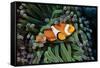 Fish 3-Lee Peterson-Framed Stretched Canvas