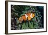 Fish 3-Lee Peterson-Framed Photographic Print