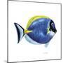 Fish 4 Blue-Yellow-Olga And Alexey Drozdov-Mounted Giclee Print