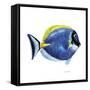 Fish 4 Blue-Yellow-Olga And Alexey Drozdov-Framed Stretched Canvas