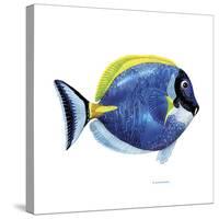 Fish 4 Blue-Yellow-Olga And Alexey Drozdov-Stretched Canvas