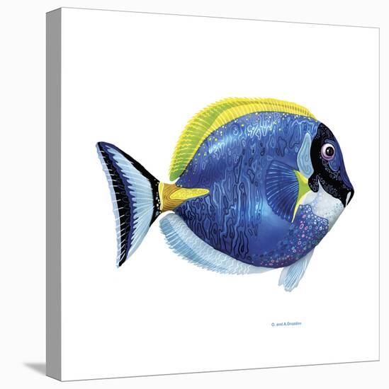 Fish 4 Blue-Yellow-Olga And Alexey Drozdov-Stretched Canvas