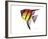Fish 4 Red-Yellow-Olga And Alexey Drozdov-Framed Giclee Print