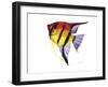 Fish 4 Red-Yellow-Olga And Alexey Drozdov-Framed Giclee Print