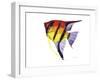 Fish 4 Red-Yellow-Olga And Alexey Drozdov-Framed Giclee Print