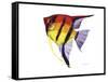 Fish 4 Red-Yellow-Olga And Alexey Drozdov-Framed Stretched Canvas