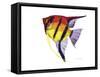 Fish 4 Red-Yellow-Olga And Alexey Drozdov-Framed Stretched Canvas