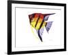 Fish 4 Red-Yellow-Olga And Alexey Drozdov-Framed Giclee Print