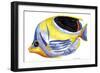Fish 5 Blue-Yellow-Olga And Alexey Drozdov-Framed Premium Giclee Print