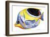 Fish 5 Blue-Yellow-Olga And Alexey Drozdov-Framed Giclee Print