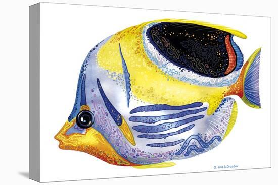 Fish 5 Blue-Yellow-Olga And Alexey Drozdov-Stretched Canvas