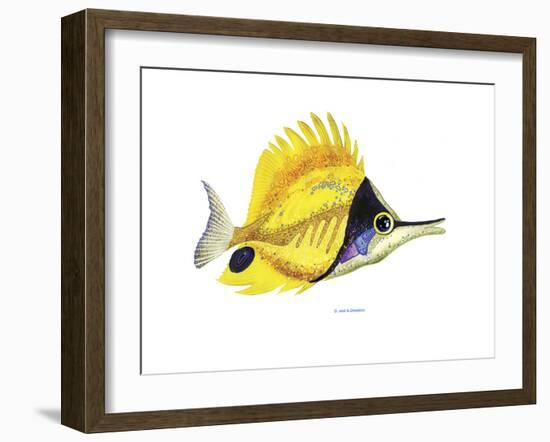 Fish 5 Red-Yellow-Olga And Alexey Drozdov-Framed Giclee Print