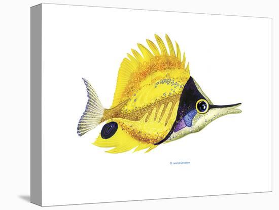 Fish 5 Red-Yellow-Olga And Alexey Drozdov-Stretched Canvas