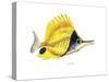 Fish 5 Red-Yellow-Olga And Alexey Drozdov-Stretched Canvas