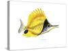 Fish 5 Red-Yellow-Olga And Alexey Drozdov-Stretched Canvas