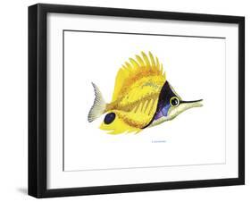 Fish 5 Red-Yellow-Olga And Alexey Drozdov-Framed Premium Giclee Print