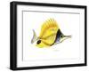 Fish 5 Red-Yellow-Olga And Alexey Drozdov-Framed Premium Giclee Print