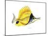 Fish 5 Red-Yellow-Olga And Alexey Drozdov-Mounted Premium Giclee Print