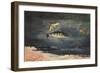 Fish and Butterflies, 1900 (W/C over Graphite on Cream Wove Paper)-Winslow Homer-Framed Giclee Print