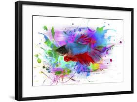 Fish and colors-Ata Alishahi-Framed Giclee Print