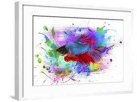 Fish and colors-Ata Alishahi-Framed Giclee Print