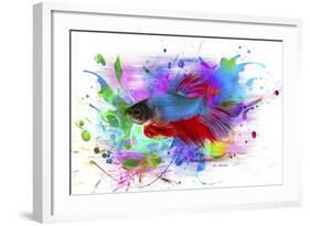 Fish and colors-Ata Alishahi-Framed Giclee Print