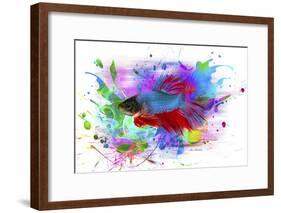 Fish and colors-Ata Alishahi-Framed Giclee Print