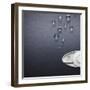 Fish and Dish-Fisher Photostudio-Framed Photographic Print