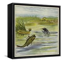 Fish and Fly-Ernest Henry Griset-Framed Stretched Canvas