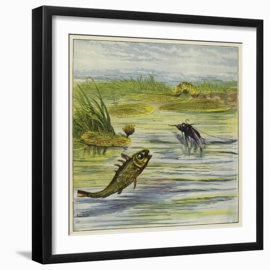 Fish and Fly-Ernest Henry Griset-Framed Giclee Print