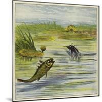 Fish and Fly-Ernest Henry Griset-Mounted Giclee Print