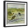 Fish and Fly-Ernest Henry Griset-Framed Premium Giclee Print