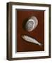 Fish and Rock Form, 1997-Peter Davidson-Framed Giclee Print