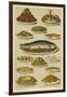 Fish and Seafood Dishes-null-Framed Premium Giclee Print