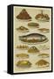 Fish and Seafood Dishes-null-Framed Stretched Canvas