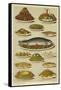 Fish and Seafood Dishes-null-Framed Stretched Canvas