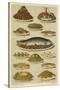 Fish and Seafood Dishes-null-Stretched Canvas