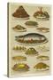 Fish and Seafood Dishes-null-Stretched Canvas