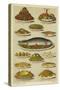 Fish and Seafood Dishes-null-Stretched Canvas