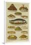 Fish and Seafood Dishes-null-Framed Giclee Print