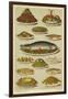 Fish and Seafood Dishes-null-Framed Giclee Print