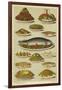 Fish and Seafood Dishes-null-Framed Giclee Print