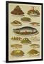 Fish and Seafood Dishes-null-Framed Giclee Print