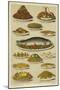 Fish and Seafood Dishes-null-Mounted Giclee Print