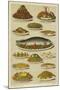 Fish and Seafood Dishes-null-Mounted Giclee Print